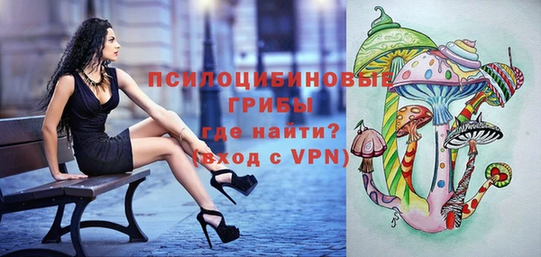 дмт Алексеевка