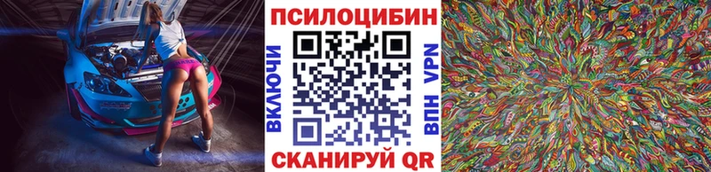 Псилоцибиновые грибы Psilocybine cubensis  Углич 